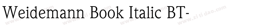 Weidemann Book Italic BT字体转换